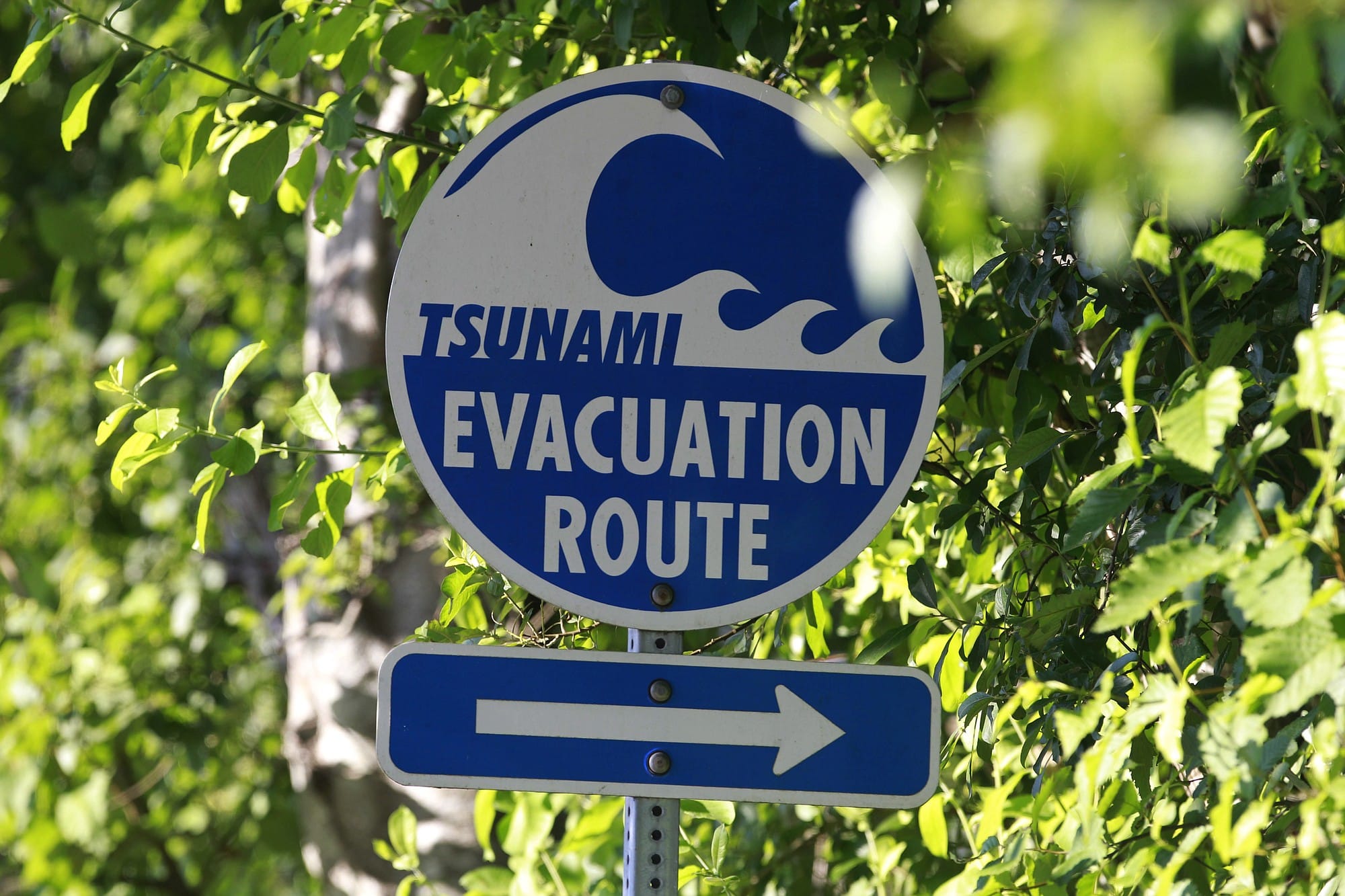 A sign marks a tsunami evacuation route off the Pacific Coast in Long Beach.