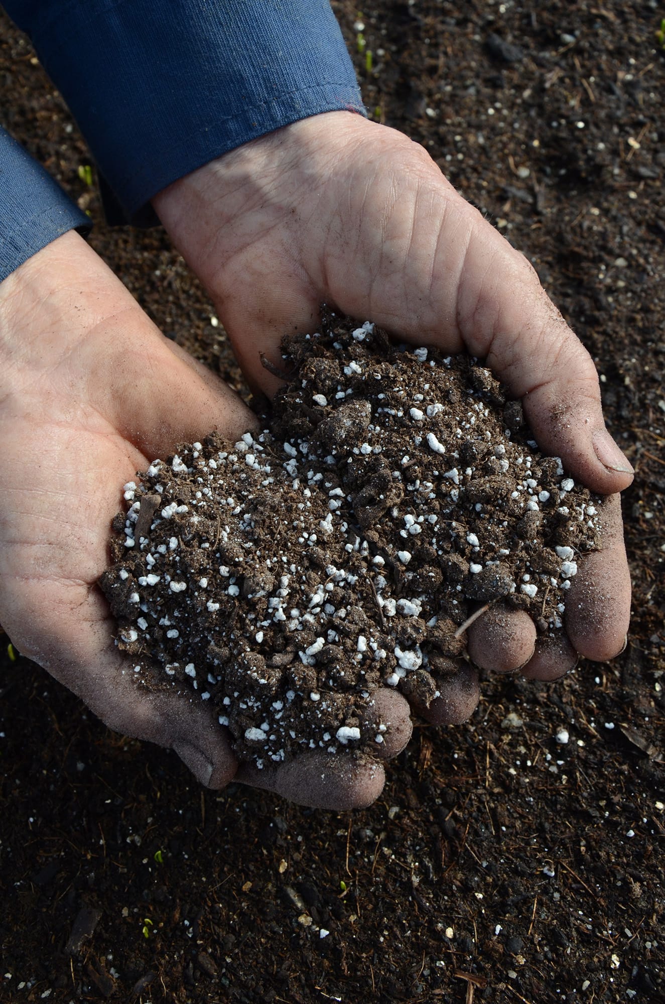 Perlite might look like bits of foam, but it's really a natural mineral that has the ability to store a lot of water.