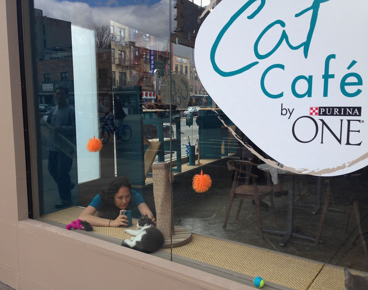 A cat enjoys some attention inside a cat cafe Wednesday in Manhattan. The pop-up cafe will be open four days and is designed to encourage adoption and let humans hang out with friendly cats.