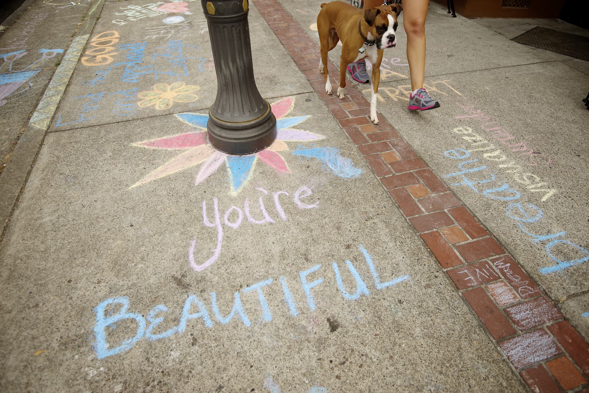 A pedestrian and her dog walk past an optimistic message in Uptown Village in Vancouver during the second annual Chalk the Walks, a project of the Joy Team.
