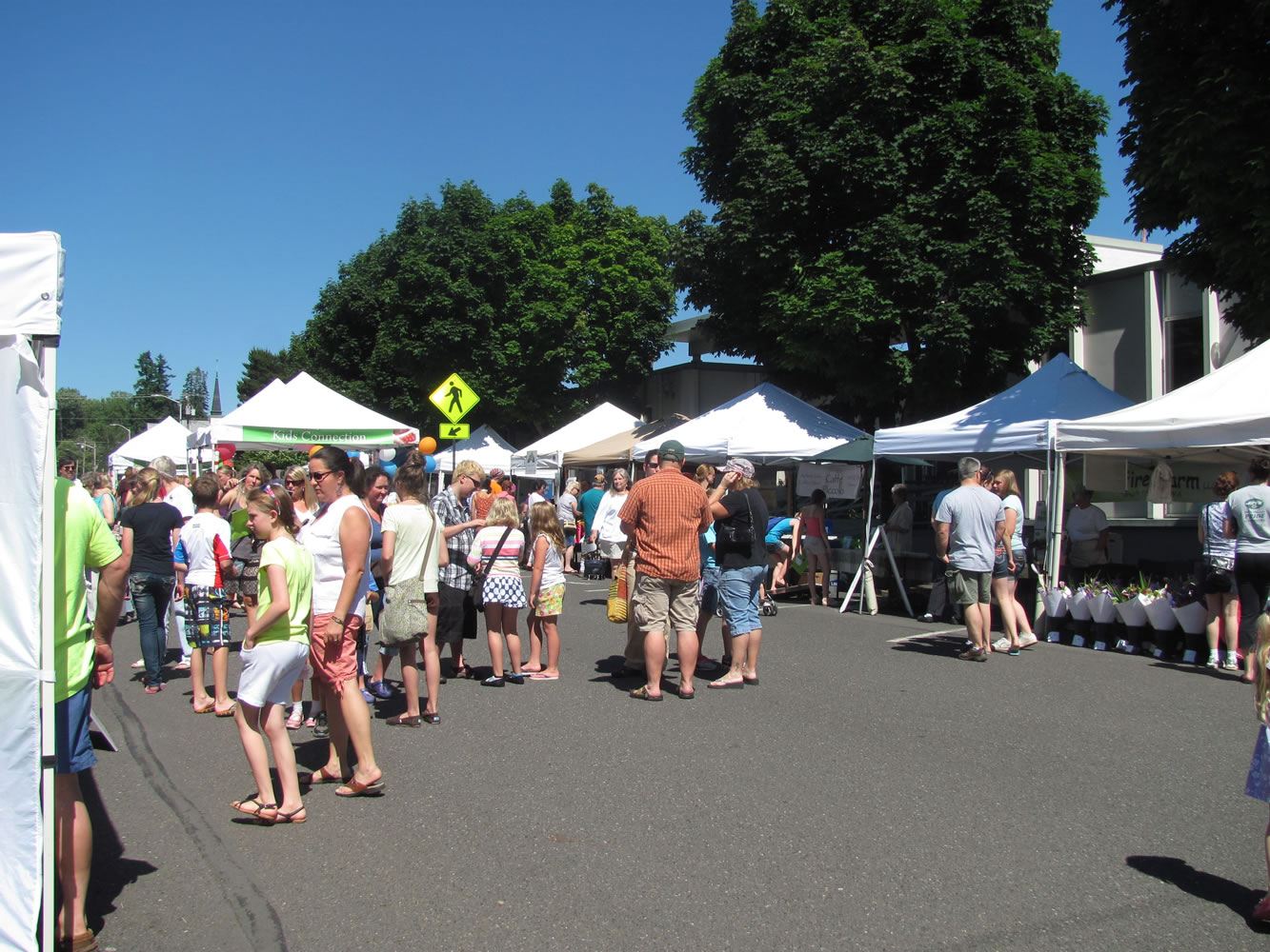 The Camas Farmer's Market will kick off its seventh season on Wednesday, June 4, with locally grown produce, food, new offerings and a health fair featuring Pure Wellness Chiropractic.
