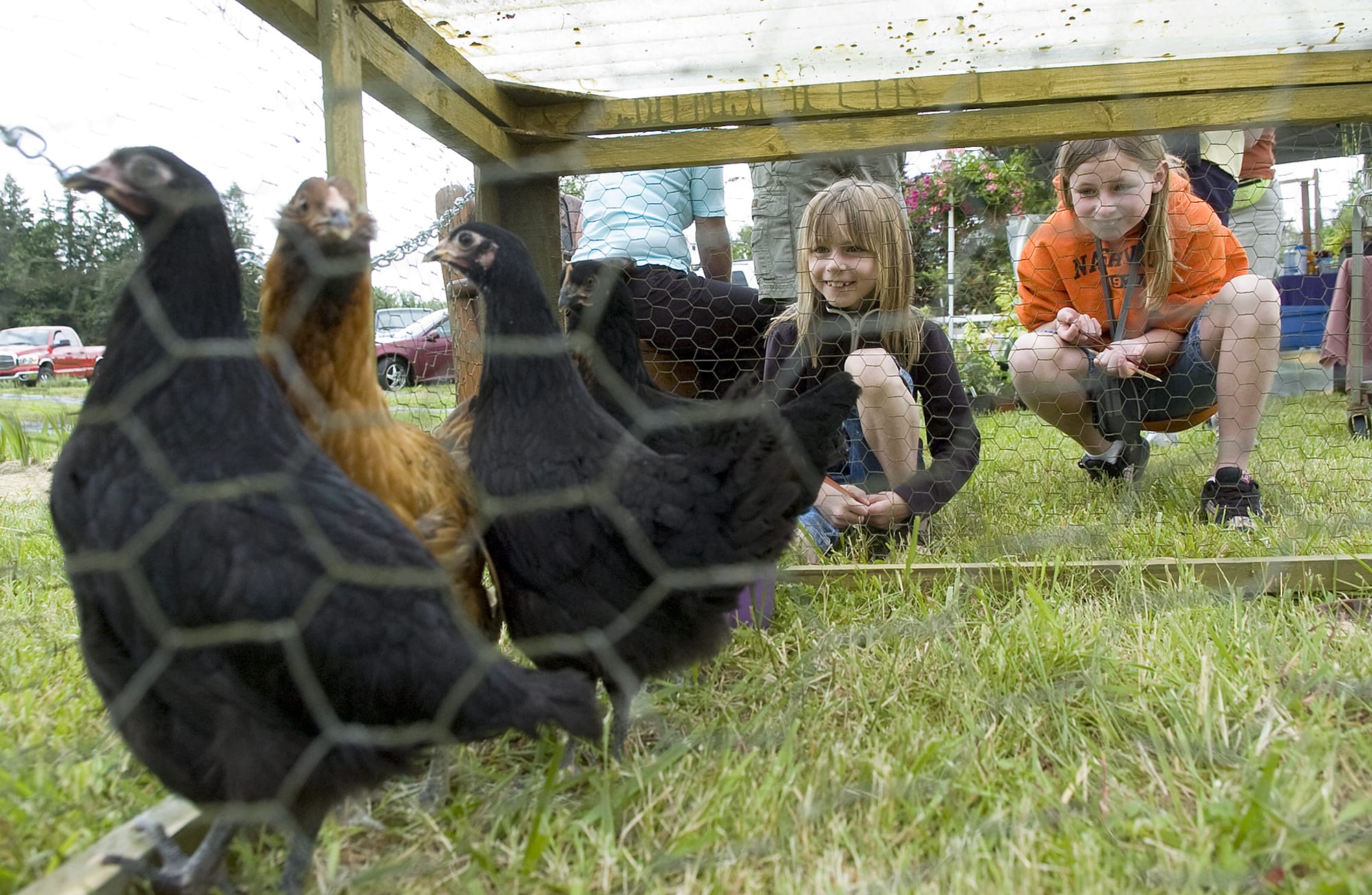 Ciah Koehler 7, and her sister Chloe Koehler 10, stop to look at chickens during a tour of Half Moon Farm, Saturday, June 21, 2008.  Half Moon Farm, along with Garden Delights and  Scented Acres were open for visitors as part of the Summer Solstice in the County farm tour.