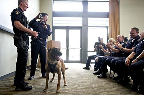 The Vancouver Police Chief Cliff Cook holds up a plaque as he recognizes officer Jack Anderson, left, and his K9 partner Ike, and Vancouver officer Ryan Starbuck and his K9 partner Ory (neither pictured), as well as Skamania Sheriff's deputy Russ Hastings and his K9 partner Arai (neither pictured)for officially completing their training during a ceremony at City Hall on Monday June 25, 2012.