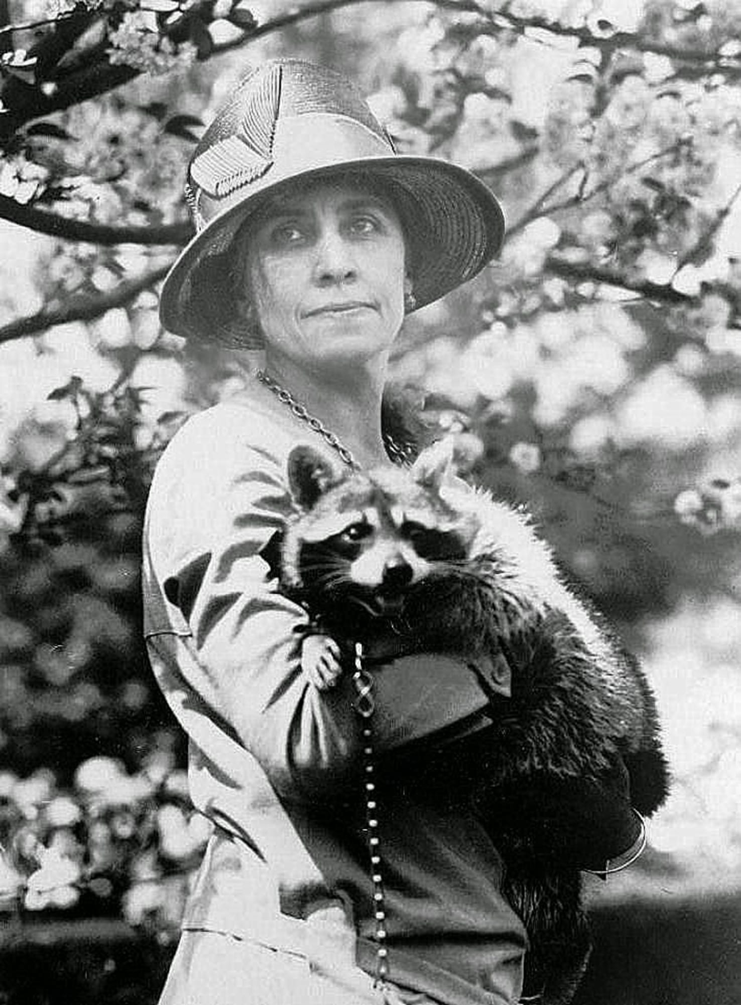 Library of Congress Prints and Photographs Division
First lady Grace Coolidge took her pet raccoon, Rebecca, for walks on the White House grounds in the 1920s.