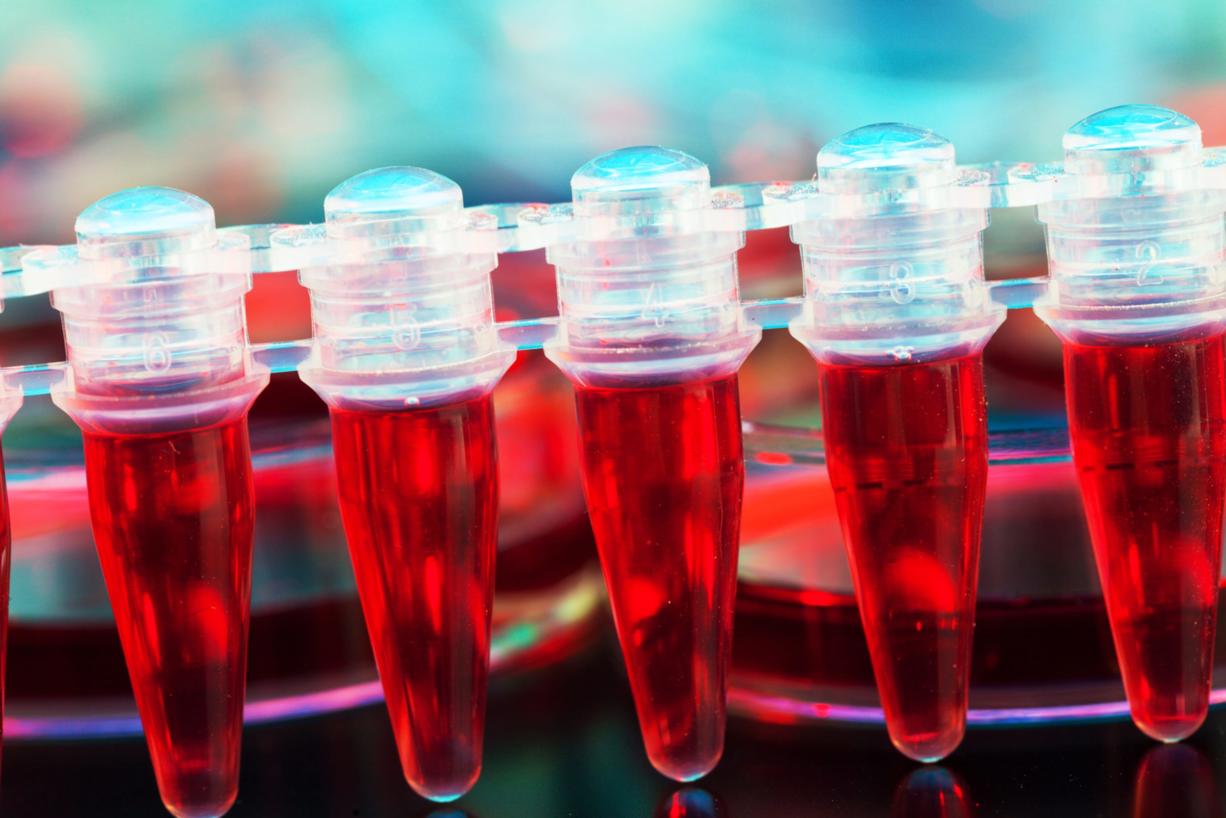 Cord blood contains stem cells that can be used to treat an estimated 70 different diseases.
