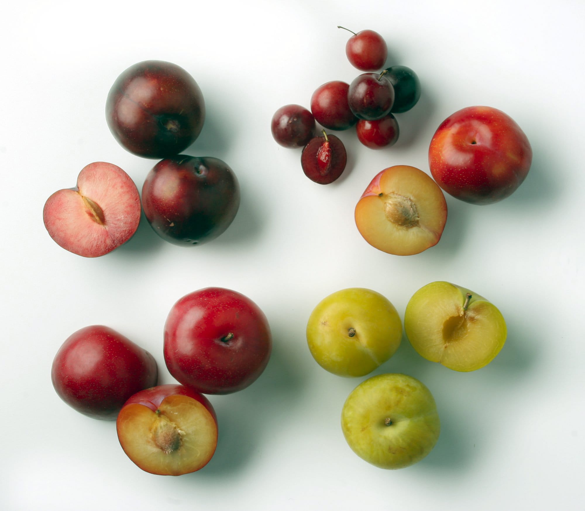 Plums can be surprising. Will the one you sink your teeth into be tart or sweet? There are no guarantees, but there are a few hints. Clockwise from top left: Purple plums, cherry plums, red plums, dragon plums and tree-ripe plums. Illustrates FOOD-PLUMS (category d), by Bonnie S. Benwick &not;&copy; 2005, The Washington Post. Moved Wednesday, Aug. 10, 2005.