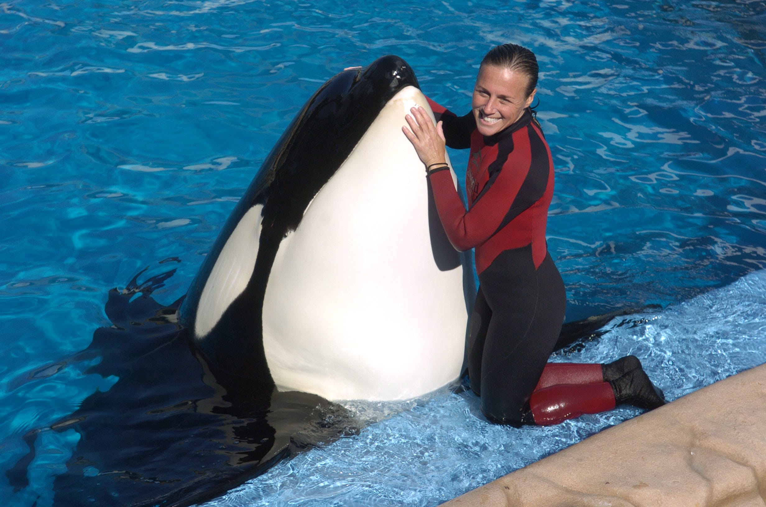 Dawn Brancheau, a whale trainer at SeaWorld Adventure Park, poses while performing. Brancheau was killed in an accident with a killer whale at the SeaWorld Shamu Stadium on Feb. 24, 2010. Despite the lingering controversy over Brancheau's death and the issue of keeping orcas in captivity, SeaWorld is going to nearly double the size of its orca environment at its park in San Diego, officials announced Friday, Aug.