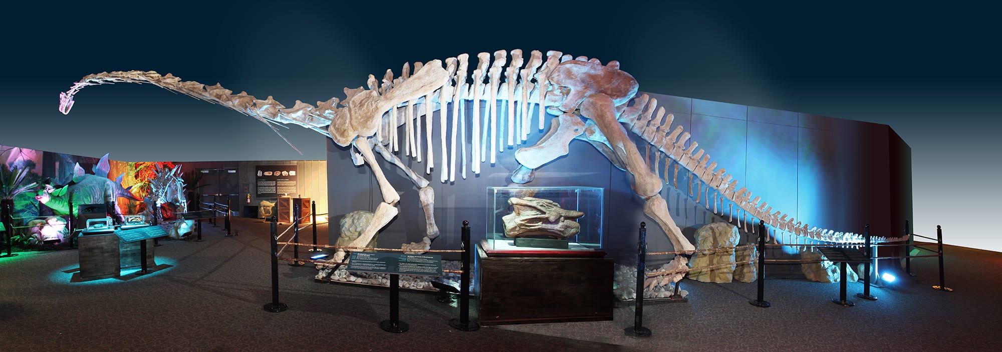 Featuring animatronic dinosaurs and complete skeletons, &quot;Dinosaurs Unearthed,&quot; will be on display through Sept.