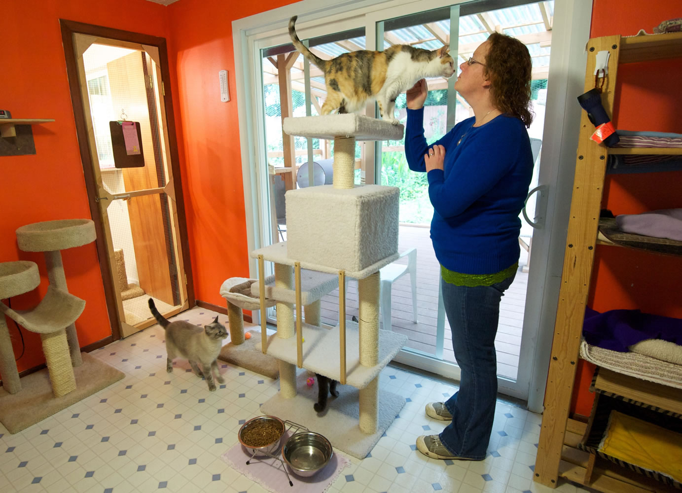 Rachel Wasser touches noses with a cat earlier this month while working inside Furry Friends, a local no-kill cat shelter.