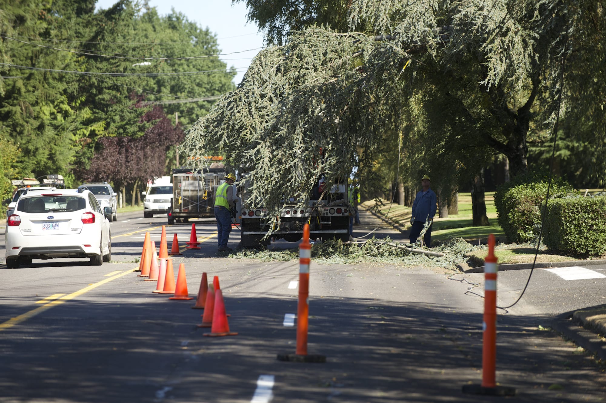 Crews from Clark PUD work to remove a downed tree limb that cut power along N.E.