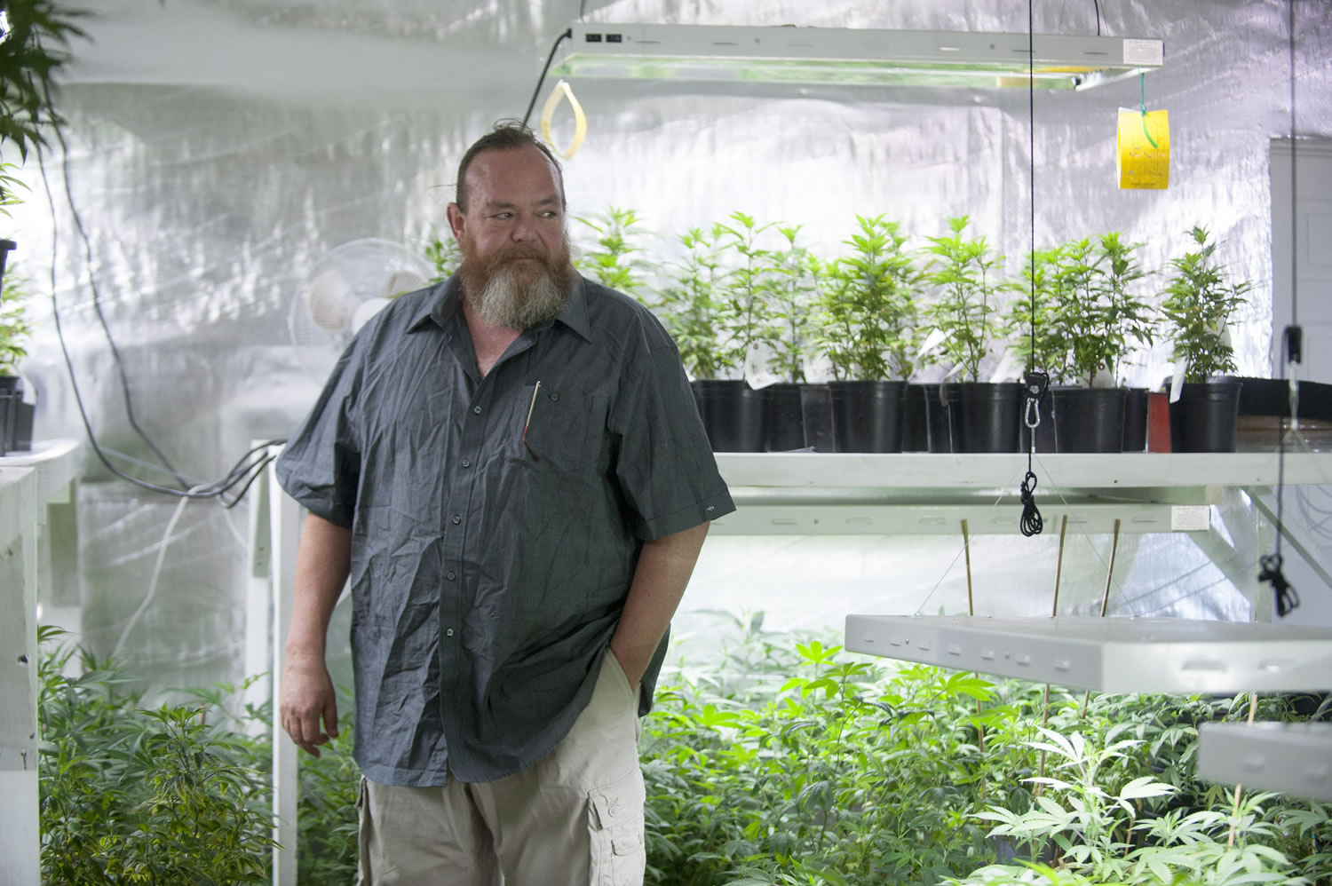 Joel Atwood, the general manager of Cananbis Cowboys, showcases one of the growing rooms at his new Tier 2 marijuana growing facility in Vancouver. The business opened this summer and it&#039;s close to beginning to sell flower and pre-rolled joints on store shelves.