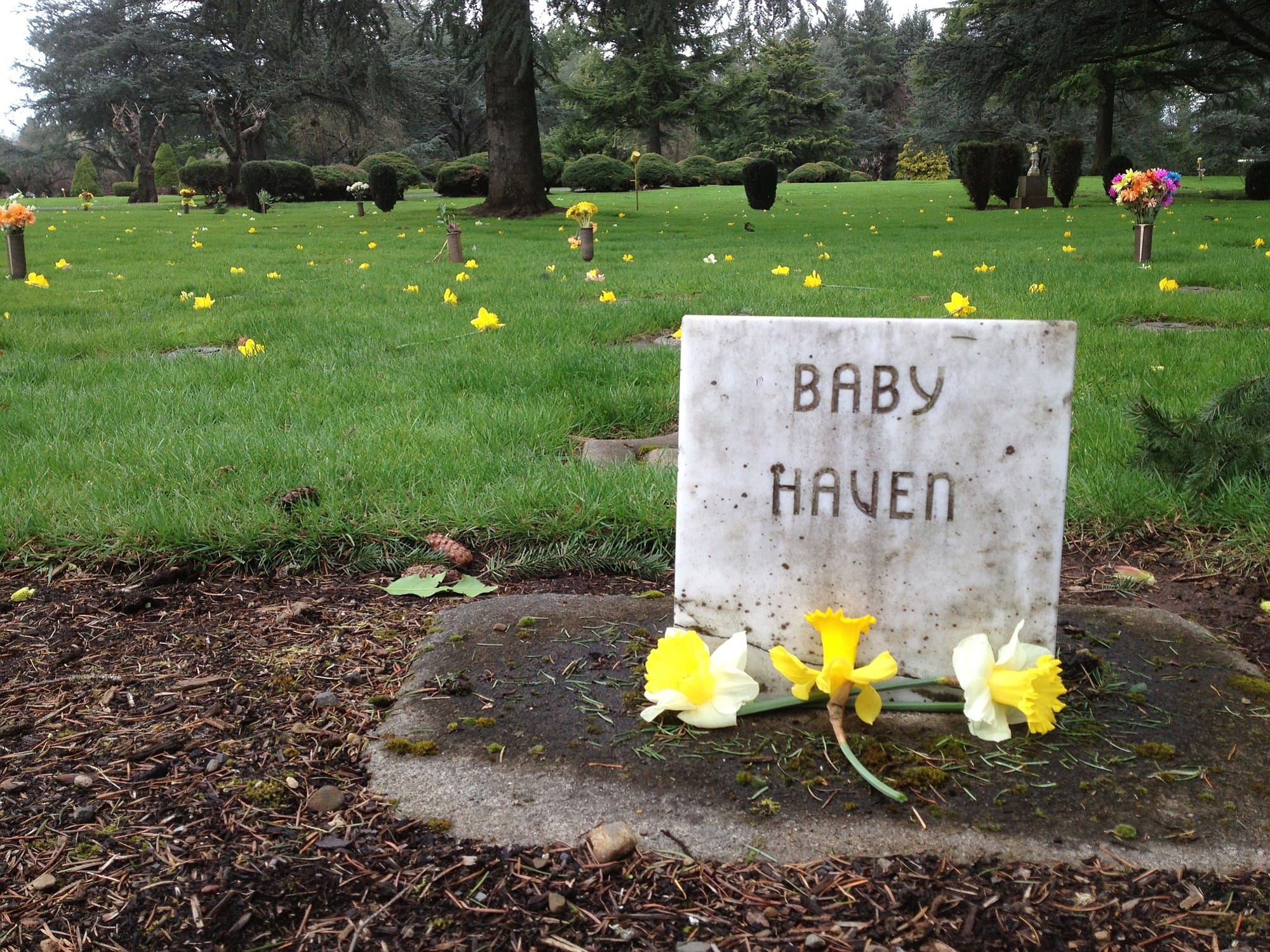 Courtesy of Teresa Wentworth
Teresa Wentworth and a group of family and friends have bring daffodils each year to Evergreen Memorial Gardens Cemetery in Vancouver. They place a flower at as many graves as possible, starting with the cemetery's Baby Haven.