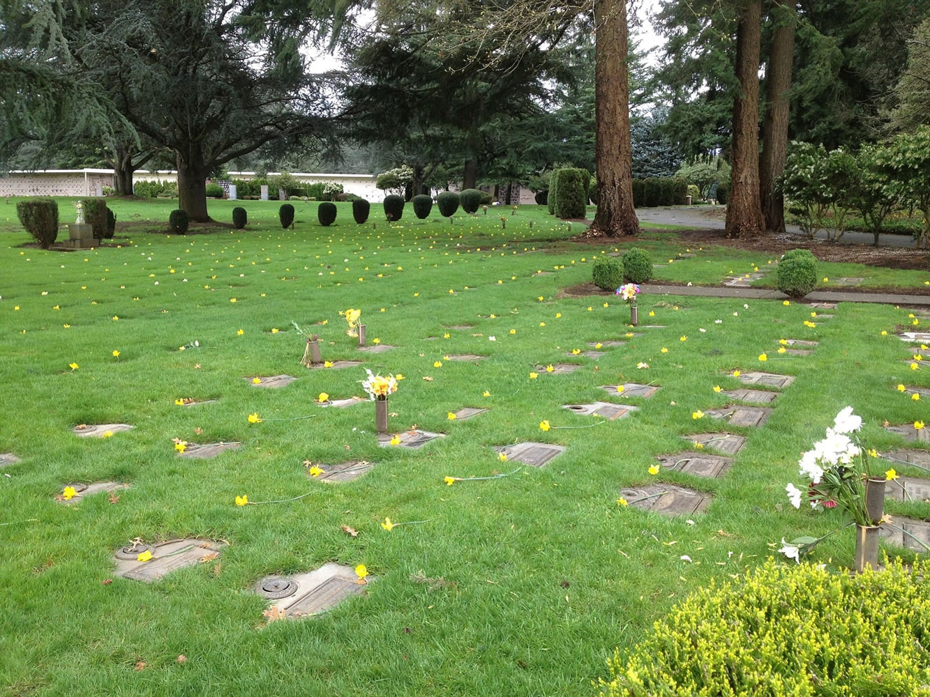 Courtesy of Teresa Wentworth
For the last six years, Teresa Wentworth and a group of family and friends have brought daffodils to Evergreen Memorial Gardens Cemetery in Vancouver.