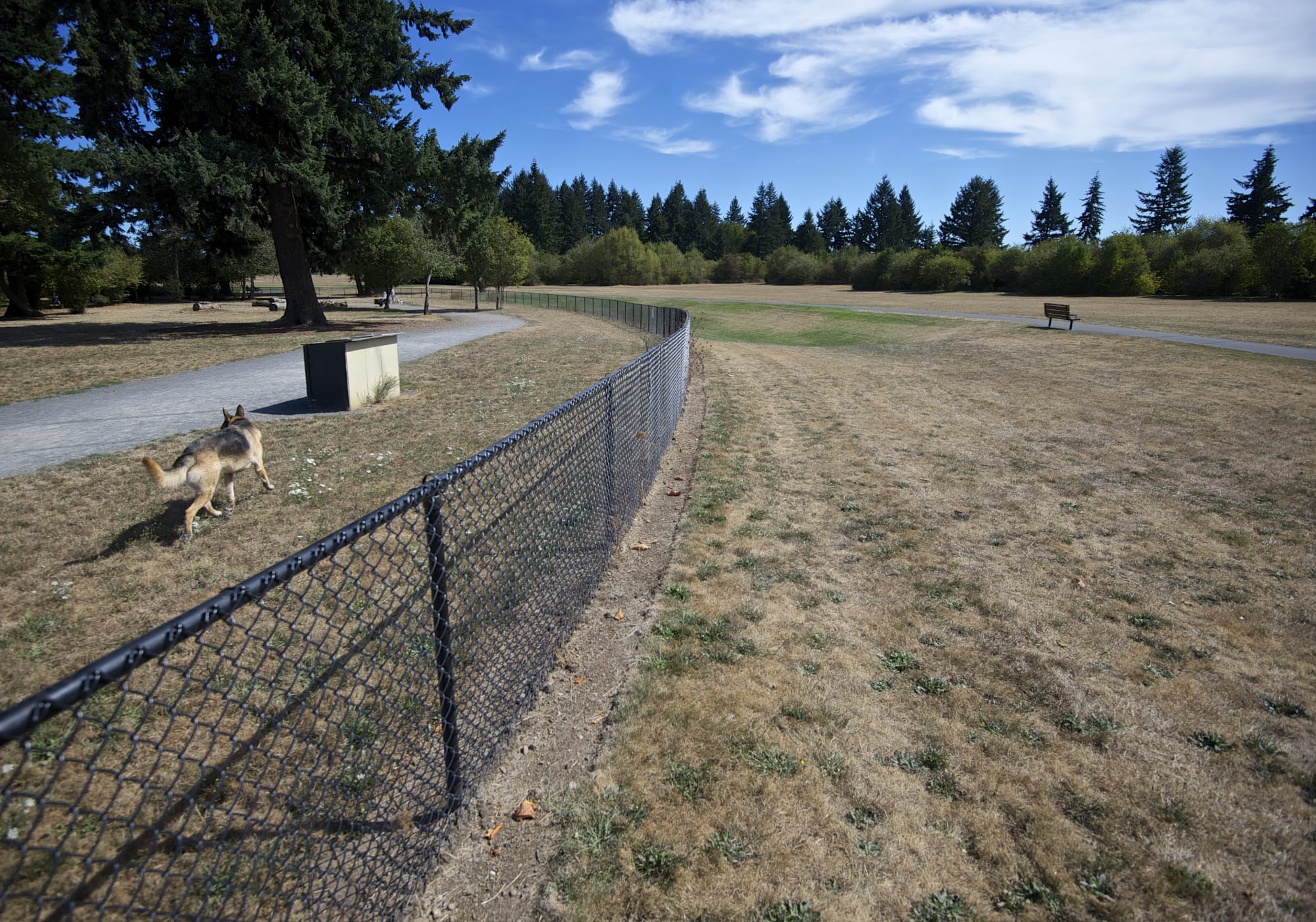 The county has signed a right-of-use agreement with Miracle League and the Vancouver Metro Senior Softball Association to allow the nonprofits to build two special ball fields near the dog park at Pacific Park.