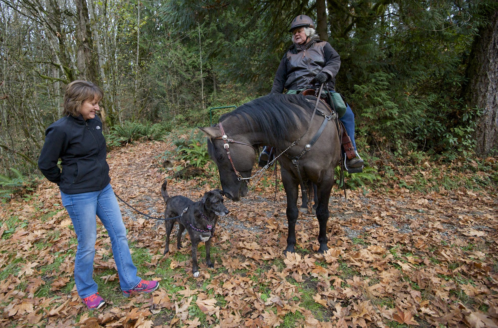 Whipple Creek Park Restoration Committee President Anita Will's horse Russell nudges Treasurer Christine Kukula's dog Bebe, as the two committee members show off some of the finished trail work at the park on Nov.
