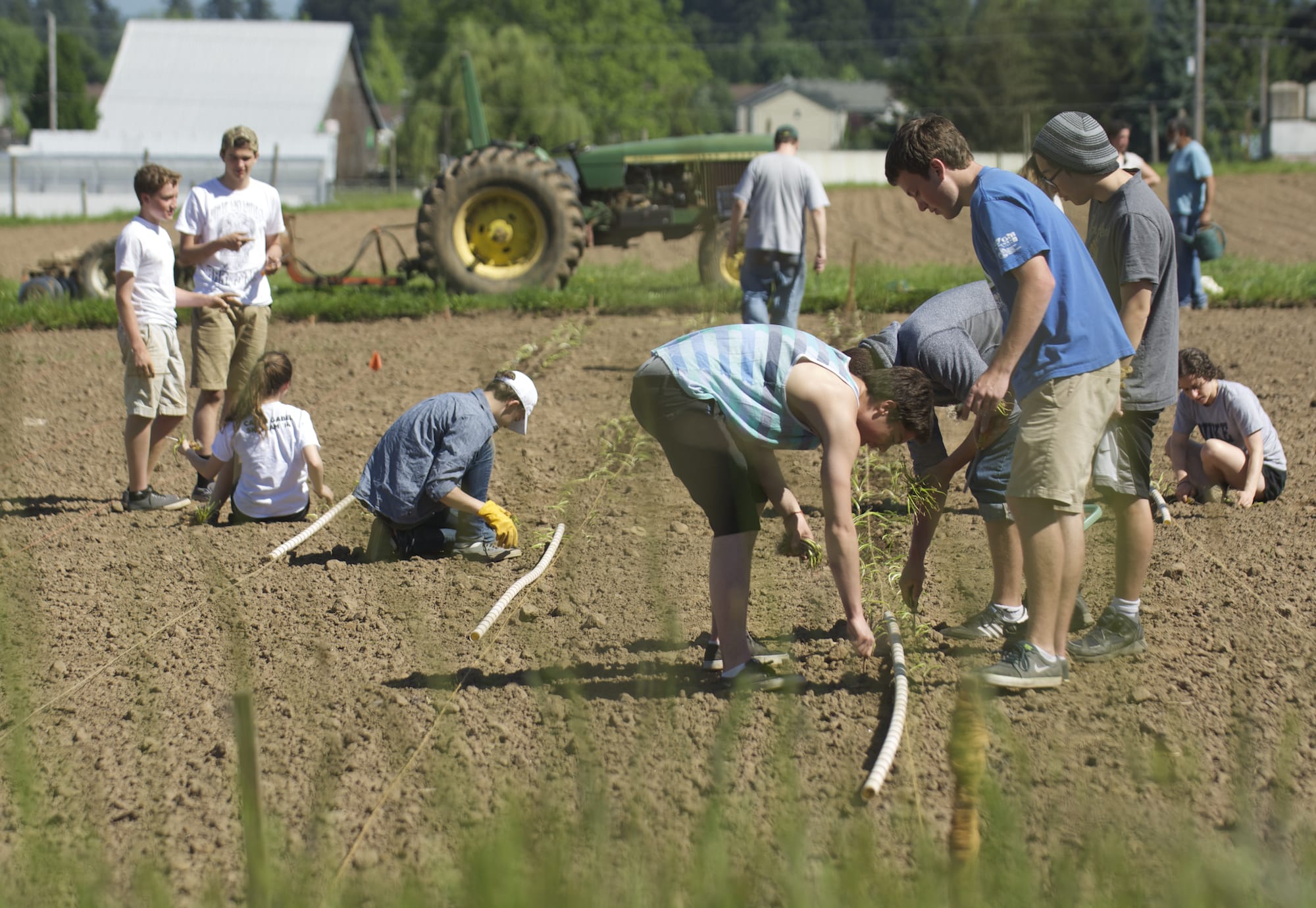 Volunteers from Portland's Catlin Gabel school plant onions last week at 78th Street Heritage Farm.