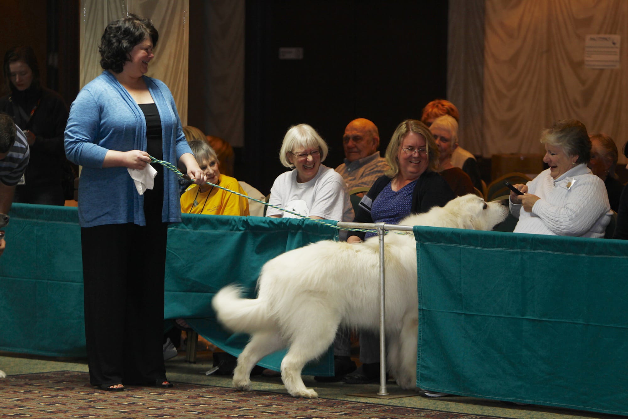 Zeus pokes his head through the fence to visit with the audience -- to the amusement of his owner, Coley Pillette -- during the rescue dog parade in the Red Lion ballroom.