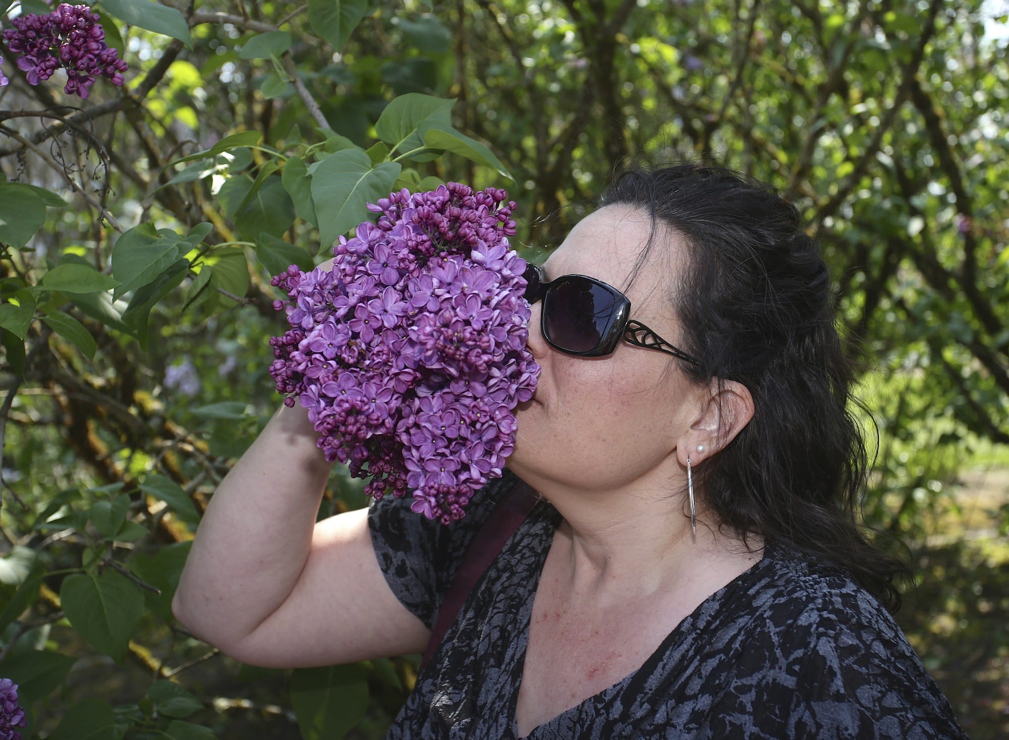 Amy Caulder of Salem, Ore., enjoys a lilac variety called Glory on Sunday at the Hulda Klager Lilac Gardens in Woodland. The lilac gardens display many varieties of the flower, as well as the Victorian farmhouse once belonging to lilac hybridizer Hulda Klager.