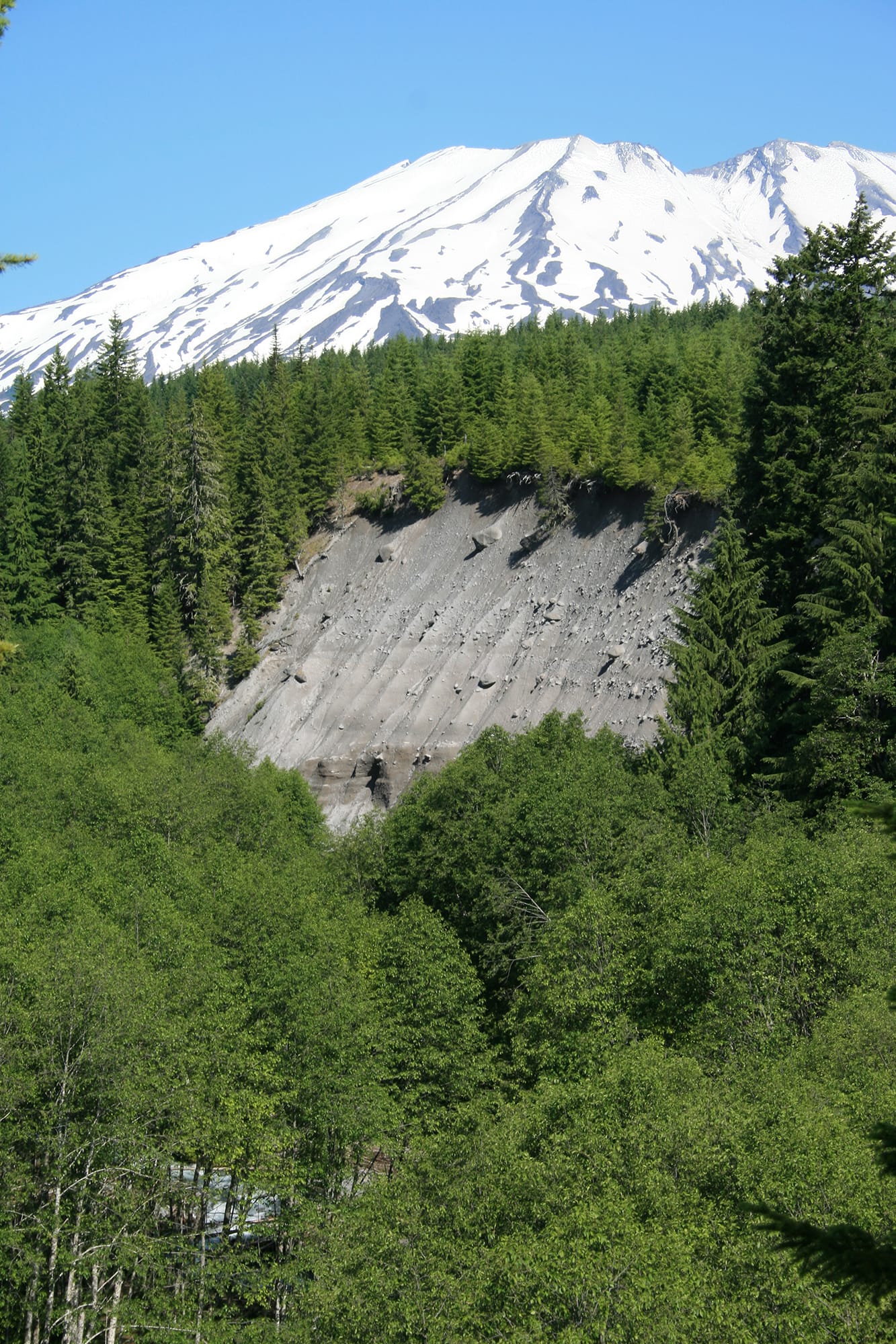 Columbia Land Trust on Monday announced the conservation of more than 3,000 acres of forestland near Mount St. Helens.