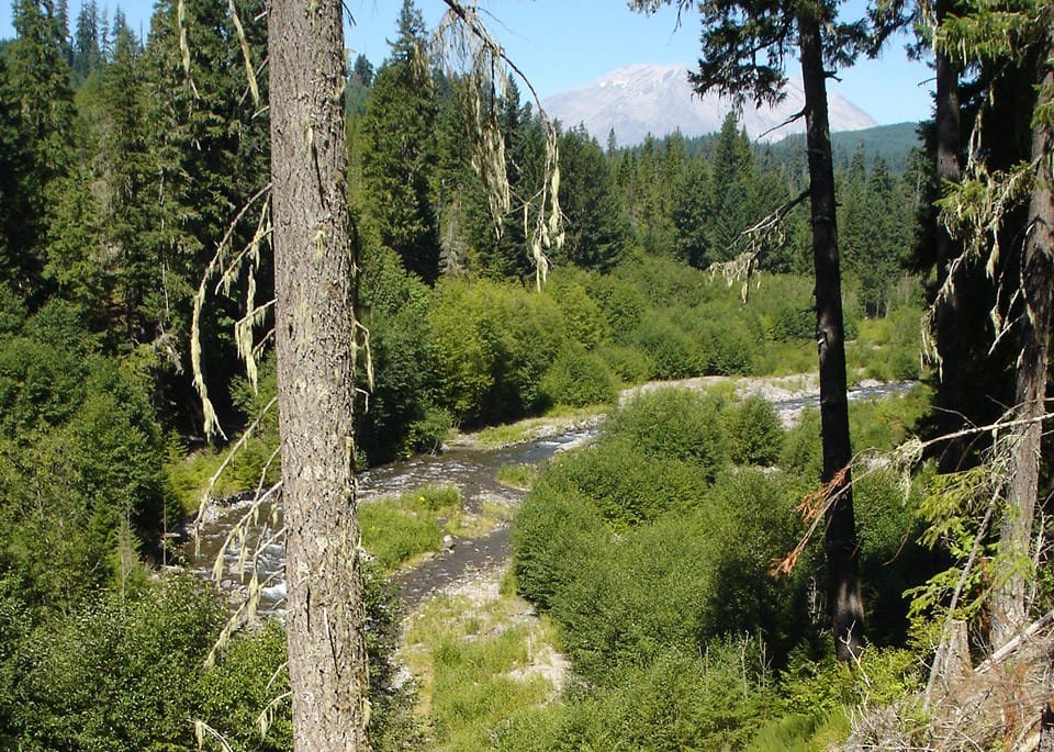 In 2013, Columbia Land Trust purchased about 2,300 acres of land on the east side of Pine Creek near Mount St. Helens. The Vancouver-based nonprofit on Monday announced a conservation easement and purchase that will together secure another 3,000 acres west of Pine Creek.