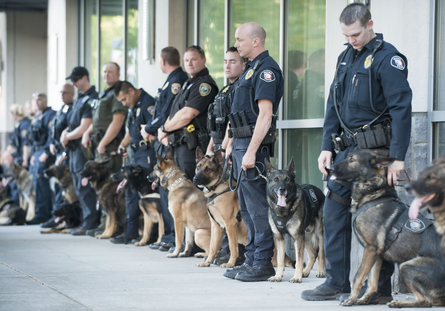 Police dogs from all over the Northwest made a pilgrimage Tuesday to the Hilton Vancouver Washington to pay their respects to Ike, a Vancouver Police Department dog, at a public memorial service Tuesday. Ike was killed in the line of duty earlier this month.