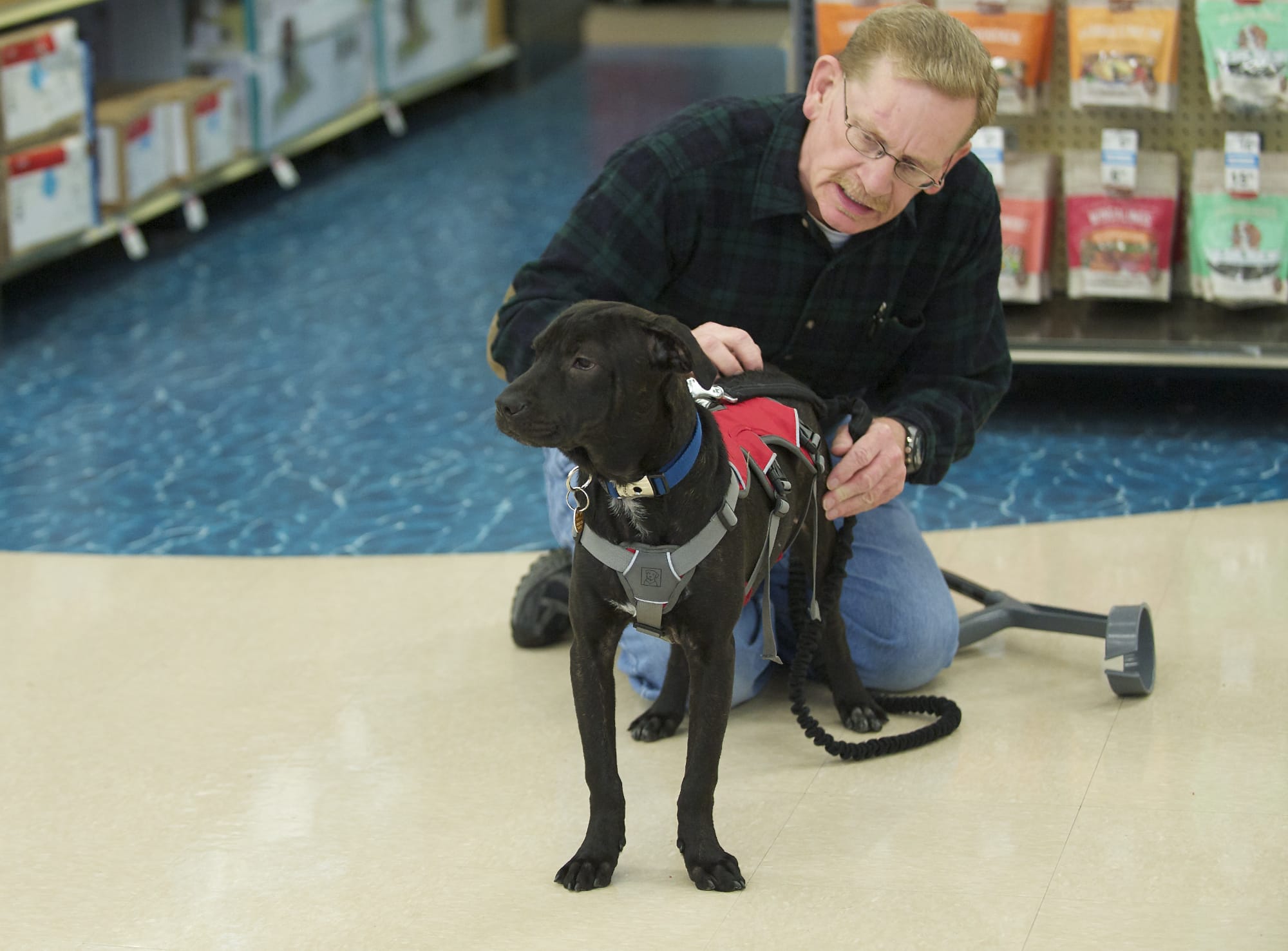Harry Kiick, who has severe seizures, trains his new service dog, Carter, at a Petco store in Southeast Vancouver.
