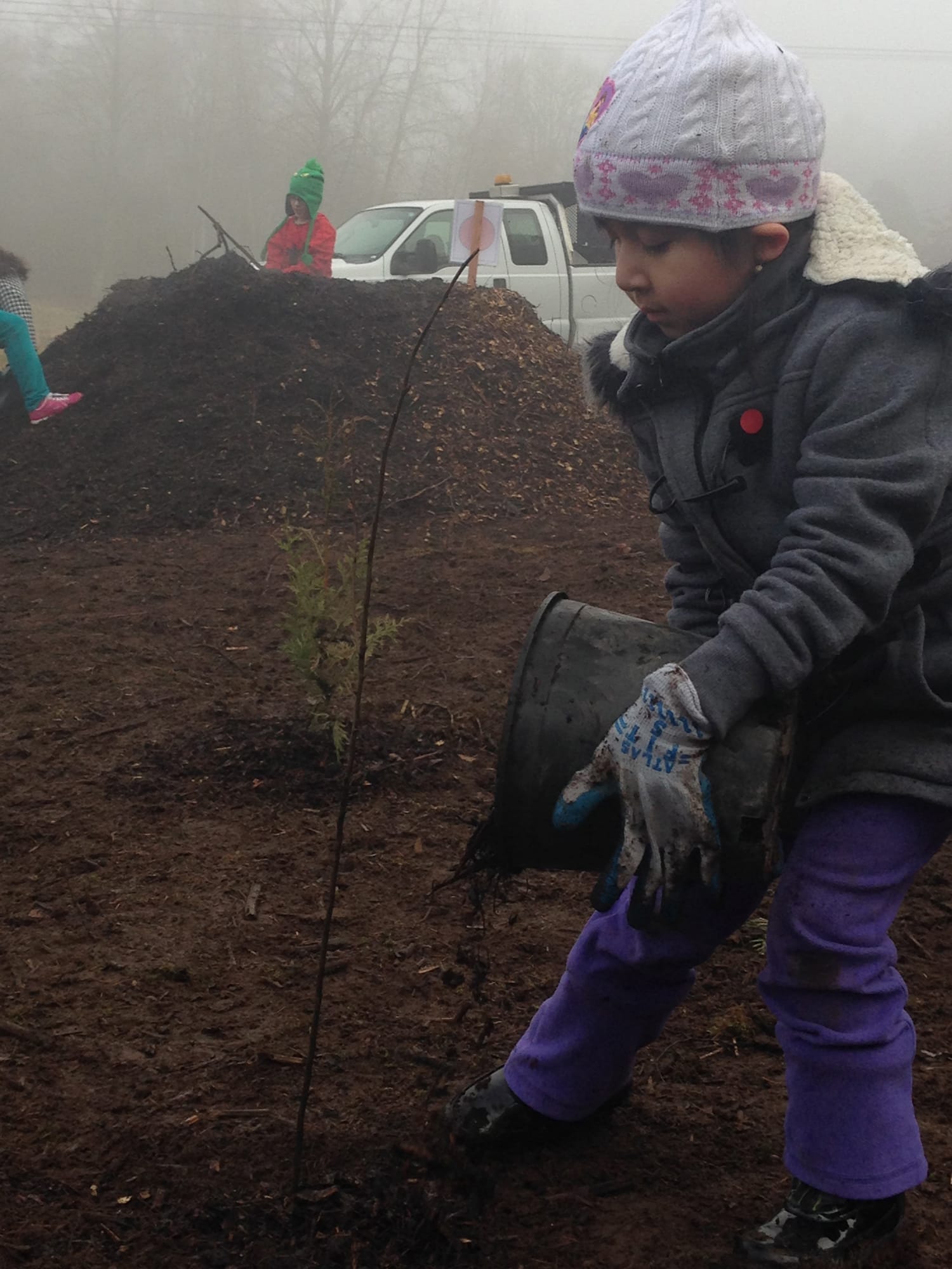 Burnt Bridge Creek: King Elementary School kindergartner Rosemary Peraza, 5, helps out during a volunteer tree-planting day on Martin Luther King Jr.