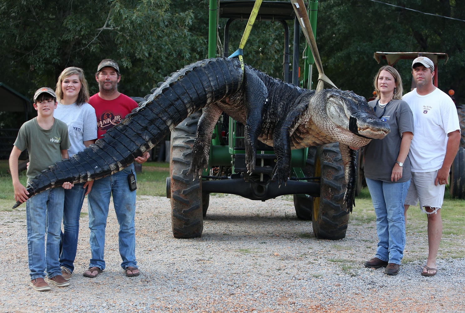 A monster alligator weighing 1,011.5  pounds and measuring 15 feet long was killed Saturday in the Alabama River near Camden, Ala., by Mandy Stokes and her husband, John Stokes, at right, and her brother-in-law Kevin Jenkins, and his children Savannah Jenkins, 16, and Parker Jenkins, 14, left, all of Thomaston, Ala.