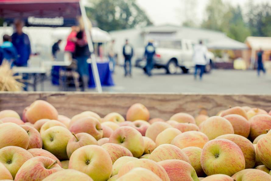 The Old Apple Tree Festival celebrates the oldest apple tree in the Northwest, one planted at Fort Vancouver in 1826. The festival is Oct. 3 at Old Apple Tree Park in Vancouver.