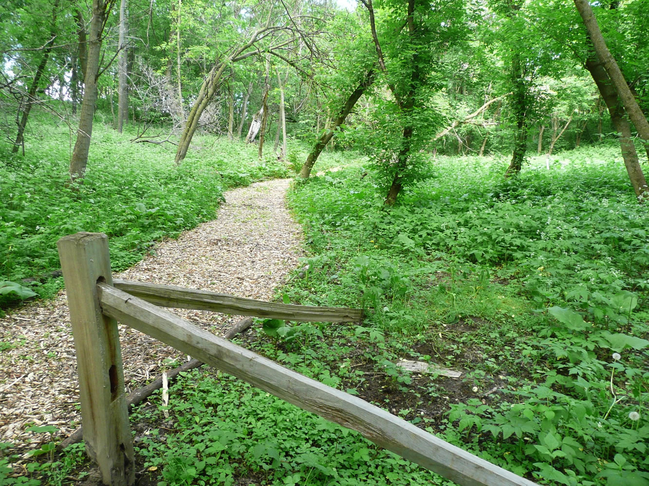 Farley CenterA chipped wood path in the heart of Natural Path Sanctuary, with a gravesite marked by a log marker just to the right of the corner post in Verona, Wis.