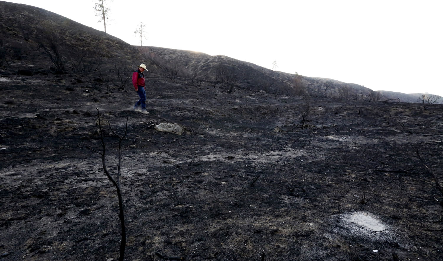 This Sept. 2, 2015 photo shows Rod Haeberle walking near what used to be his property. Haeberle lost 40 miles of fence to the Okanogan wildfires.