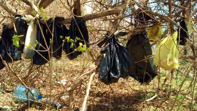 In this April 24 photo provided by the SPCA of Westchester's Humane Law Enforcement Division, plastic bags containing the remains of about 25 cats hang from a tree in a wooded area in Yonkers, N.Y.