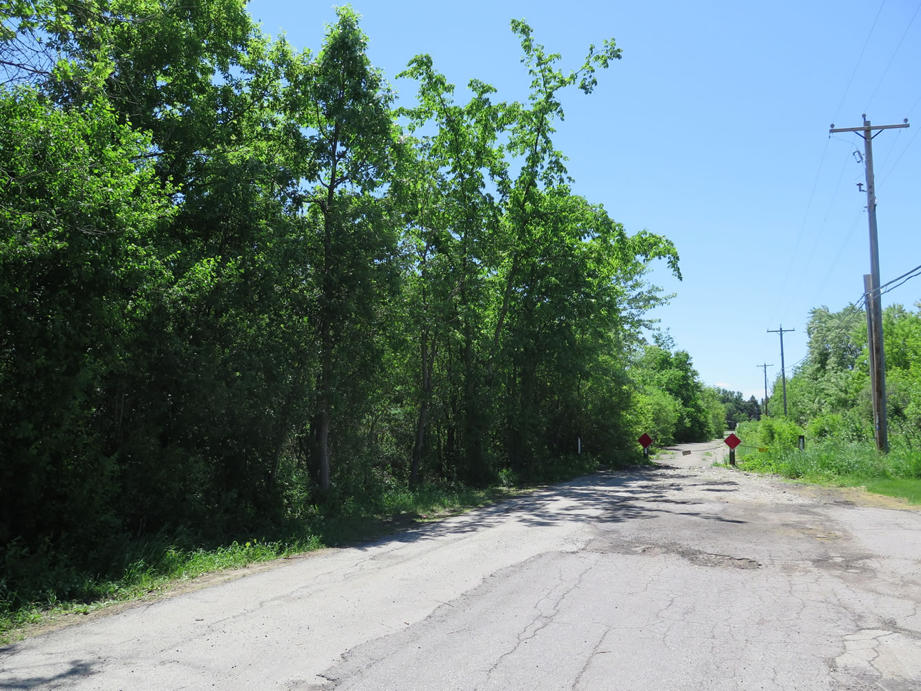 The road in Waukesha, Wis., where a bicyclist found a 12-year-old girl who had 19 stab wounds is shown Tuesday.