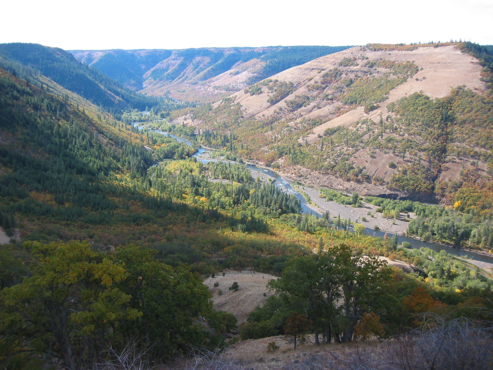 The scenic Klickitat River cuts a canyon through the heart of the state's Klickitat Wildlife Area.