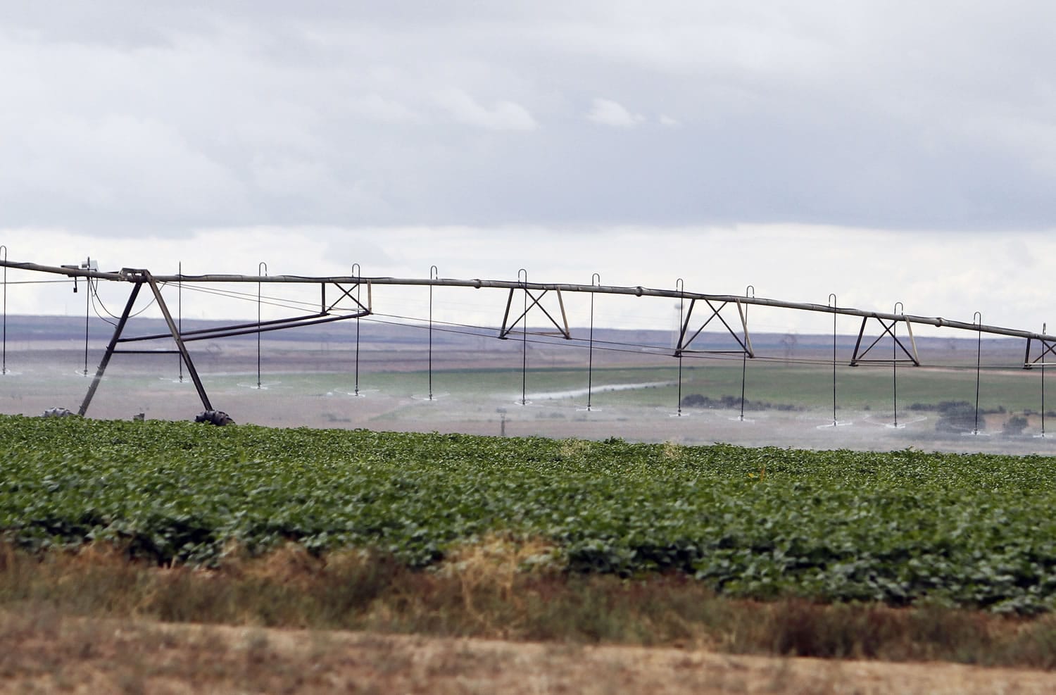 Crops are watered in August at the Navajo Agricultural Products Industry's farm south of Farmington, N.M. When the federal government announced it would allow American Indian tribes to grow and sell marijuana, the same discussions many had about casinos and alcohol resurfaced.
