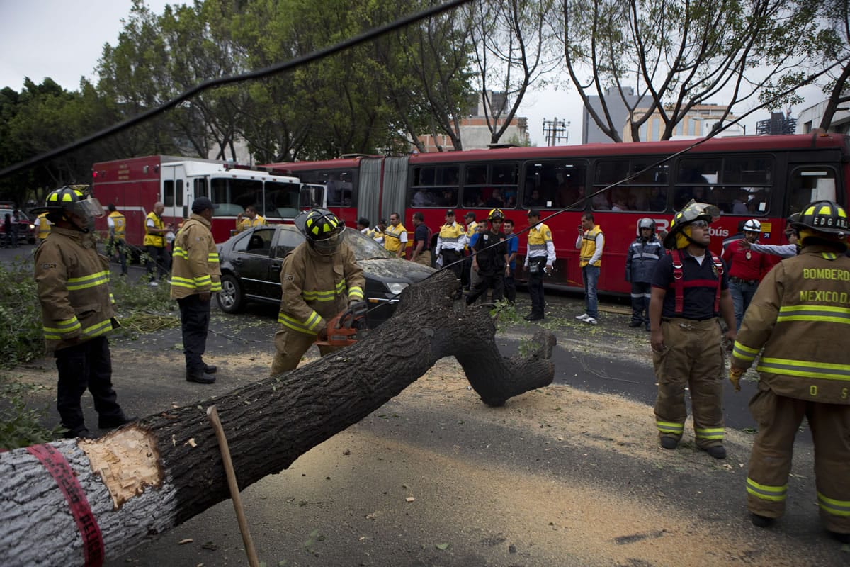 Firefighters cut apart a fallen tree that took down power lines and landed on a car, after an earthquake Thursday shook the city and sent people scurrying from office buildings, in Mexico City.