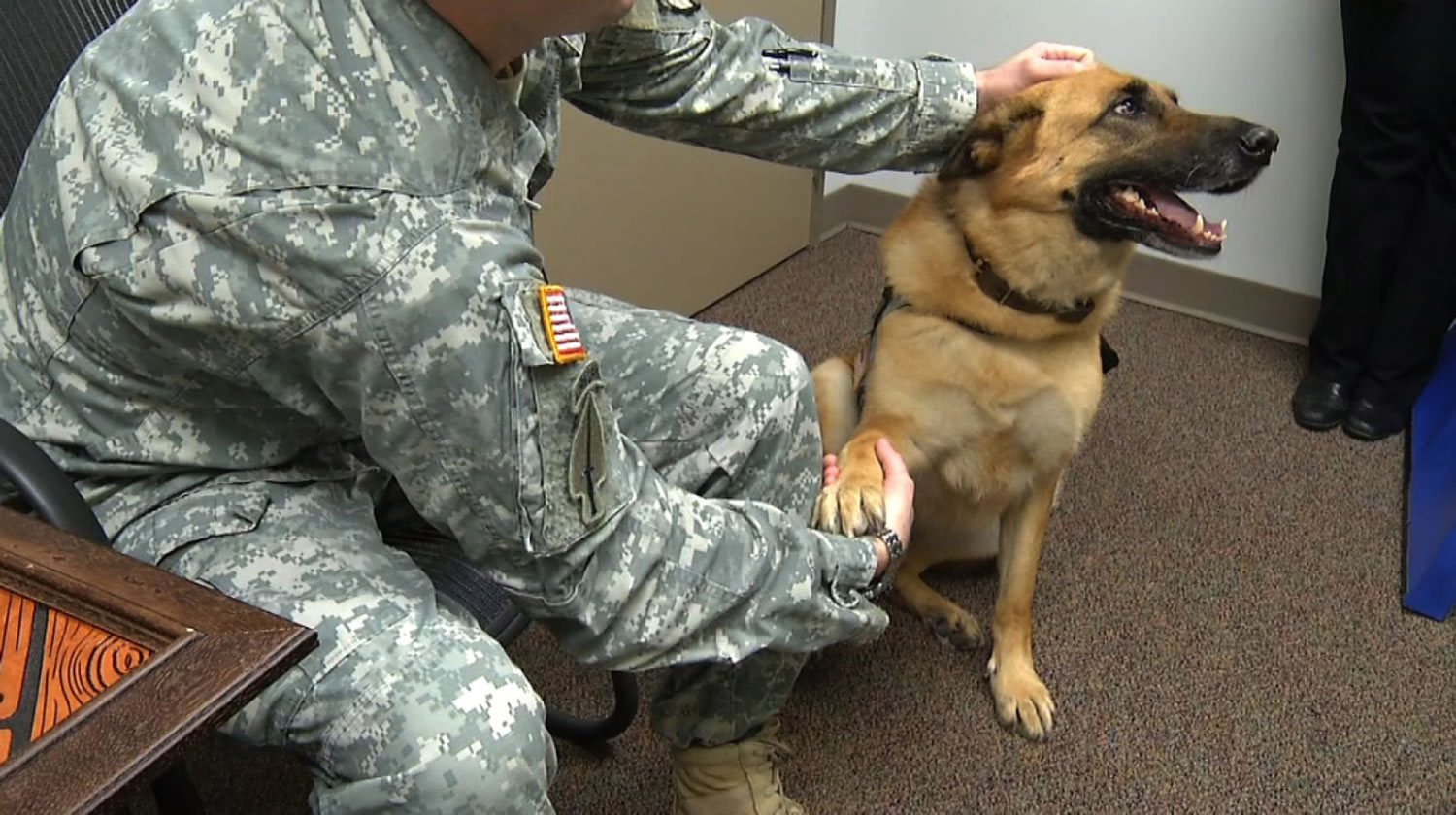 Lexy, a German Shepherd, interacting with Van Woodruff, a former Sgt. 1st Class who got a medical retirement, is changing the lives of U.S.
