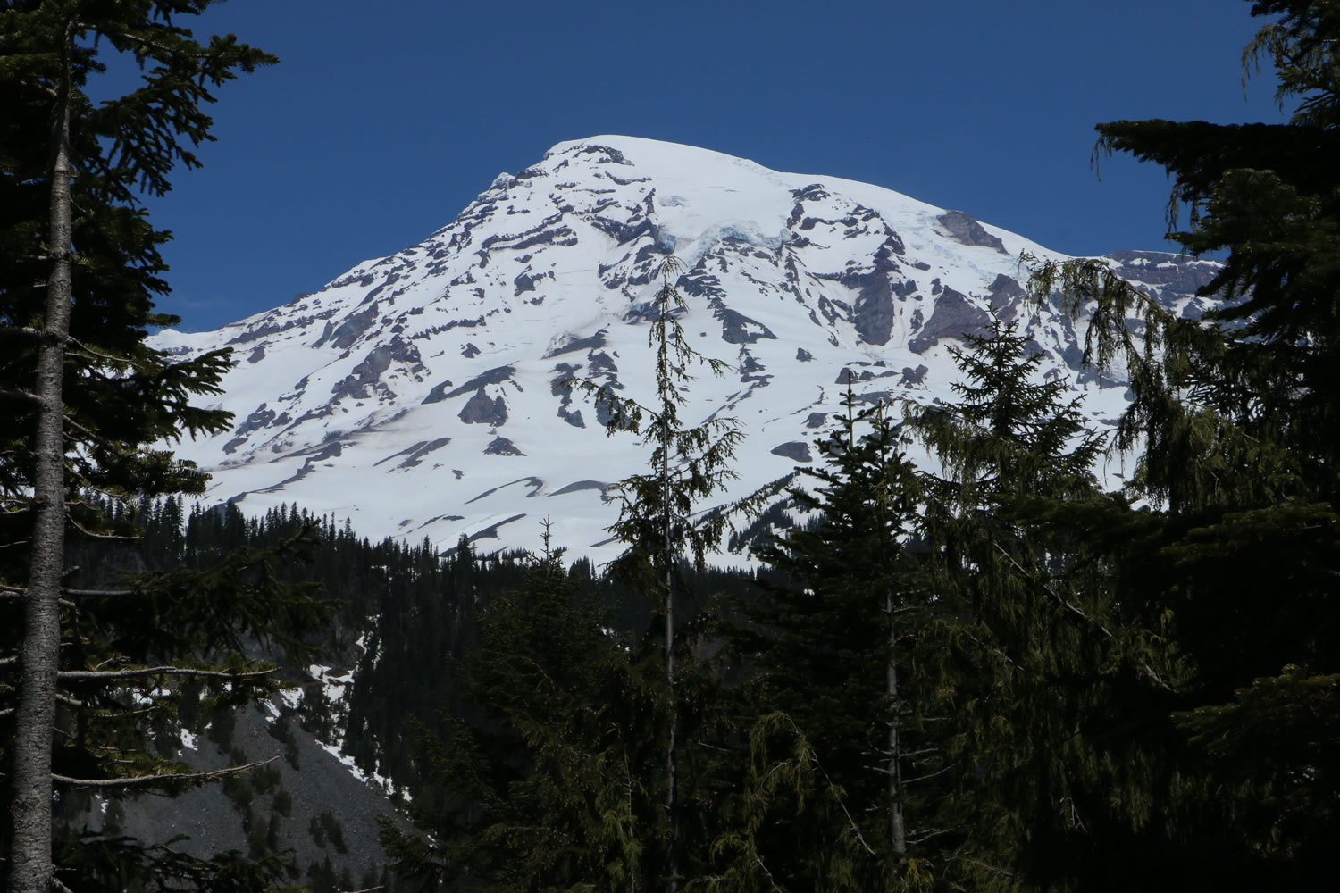 Mount Rainier is seen in the distance from a viewpoint within Mount Rainier National Park on Sunday.