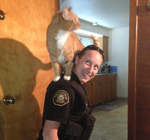 Portland Police Bureau
Portland police Officer Sarah Kerwin on Tuesday takes in stride a cat that perched on her shoulders while she investigates a Portland home burglary. Sgt. Pete Simpson says police were called when a woman returned home from work to find her house burglarized.