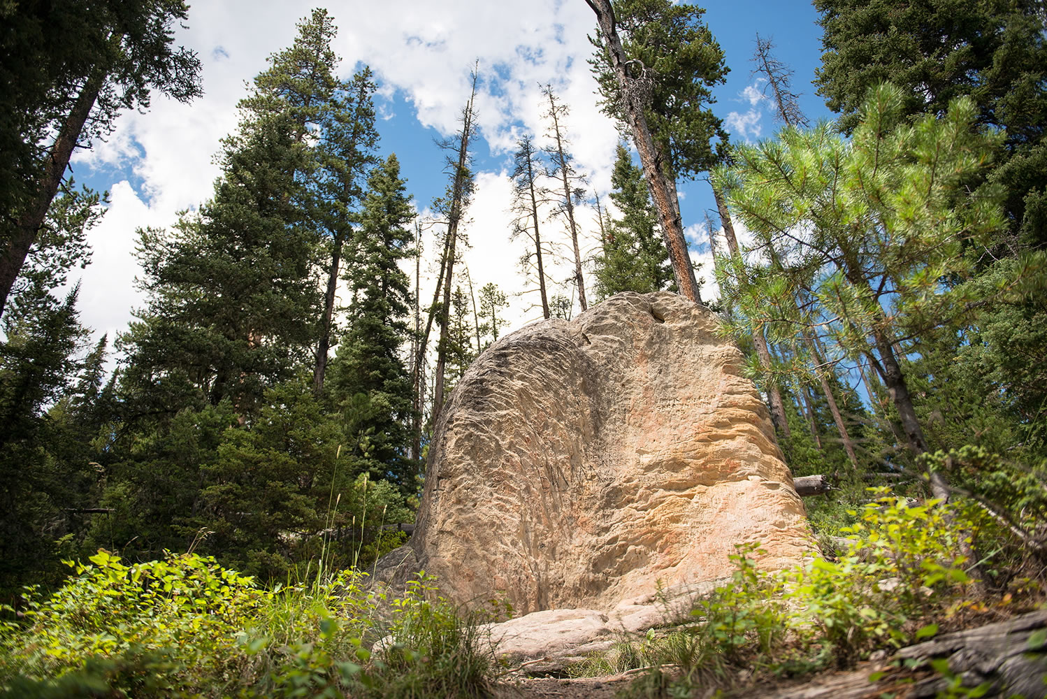 History Rock rises from the forest floor in Hyalite Canyon south of Bozeman, Mont.  Of all the great day hikes in Hyalite Canyon, the 2.4-mile round trip route to History Rock is one of the finest.