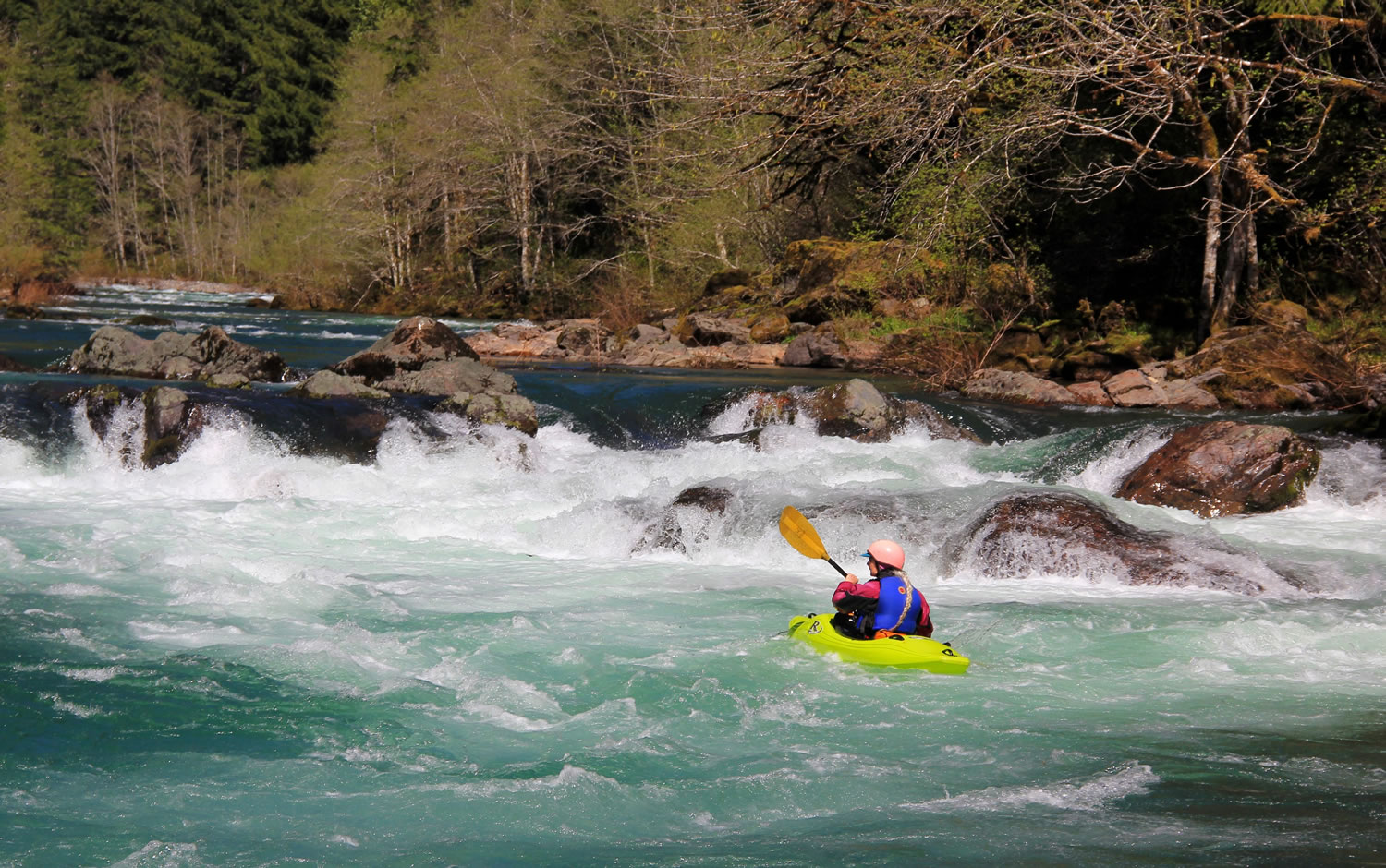 Laurie Pavey of Corvallis, Ore., paddles in the water below Bullseye rapid on the North Fork of the Middle Fork Willamette River, near Westfir, Ore., on April 13.