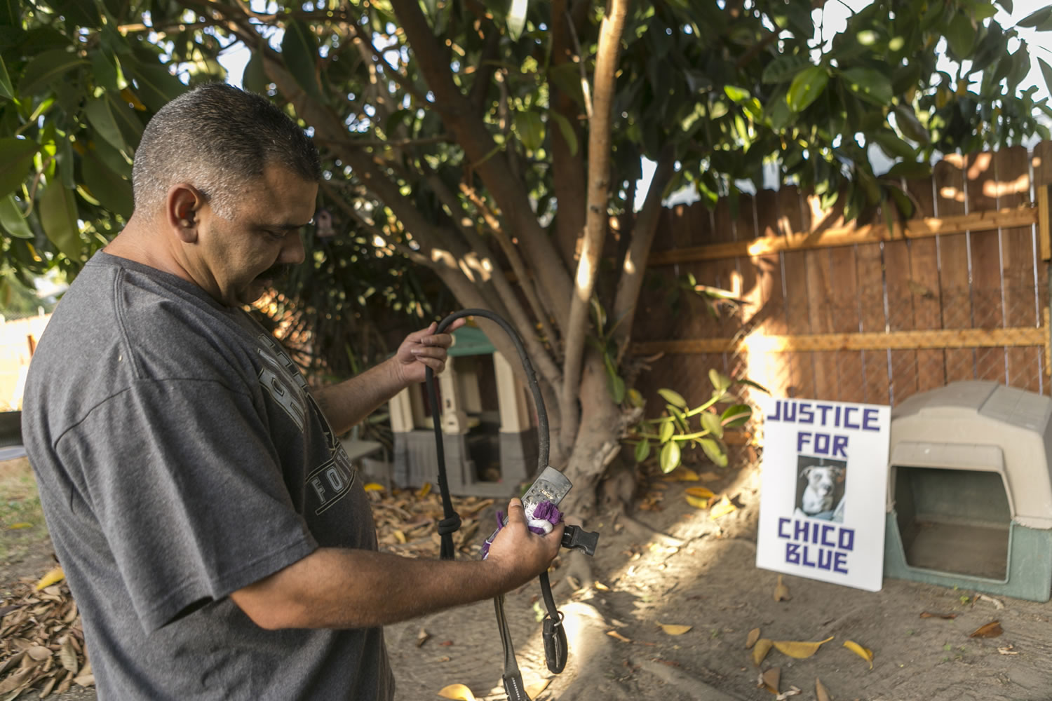 In this Monday, May 19, 2014 photo, former dog owner Arturo Gonzalez poses for a photo with his late dog's collar and toys at his home in Pico Rivera, Calif. Gonzalez's pit bull, Chico Blue, was fatally shot by sheriff's deputies 18 months ago when the deputies came to ask Gonzalez about a shooting that wounded his brother. The deputies say the dog foamed at the mouth while walking down the driveway. Feeling threatened by the dog, the deputies threw a chair, sprayed the dog with mace and shot him twice with a handgun. The dog bled to death in a patrol car. The majority of shootings in most U.S. police departments involve animals, usually dogs, and experts say a new series of videos can help change often quick-trigger decisions fueled by fear.