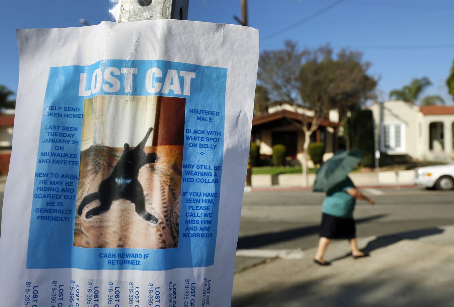 A flier seeking a lost cat is posted on a street corner in the Highland Park area of Los Angeles. The search for your feline friend tends to be tougher going than if you had lost a dog, experts say.