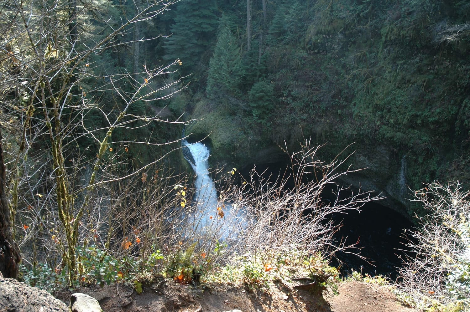 Punchbowl Falls as viewed from Eagle Creek trail No.