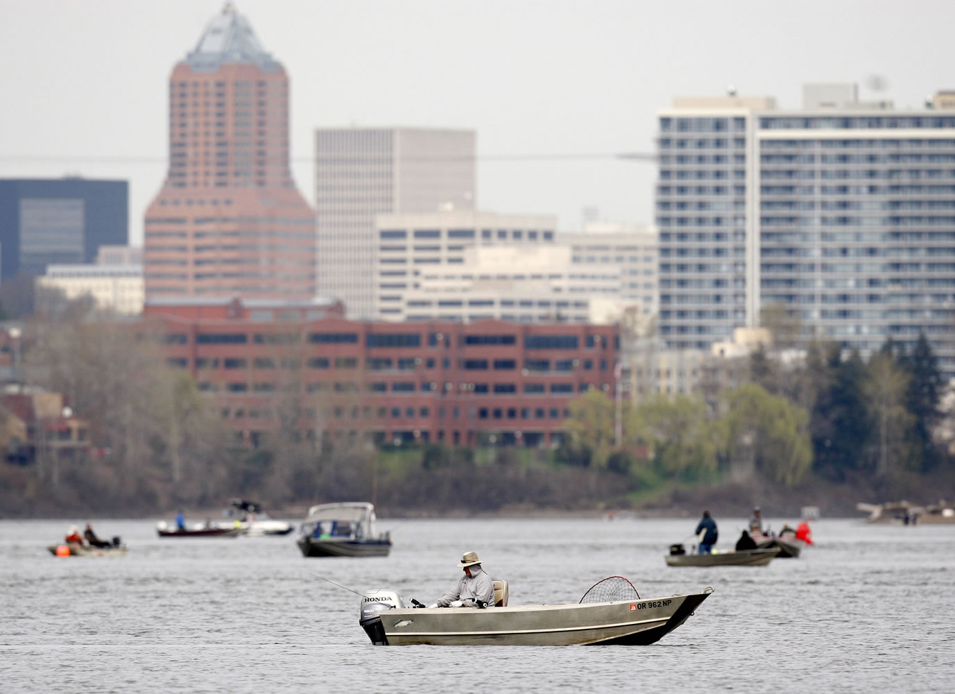 Salmon anglers can fish for spring chinook without leaving downtown Portland.