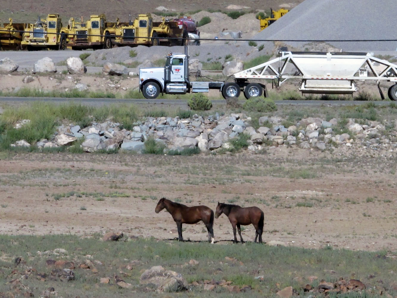 Mustangs graze Thursday at the Tahoe Reno Industrial Center 15 miles east of Sparks, Nev., where Tesla Motors Inc.