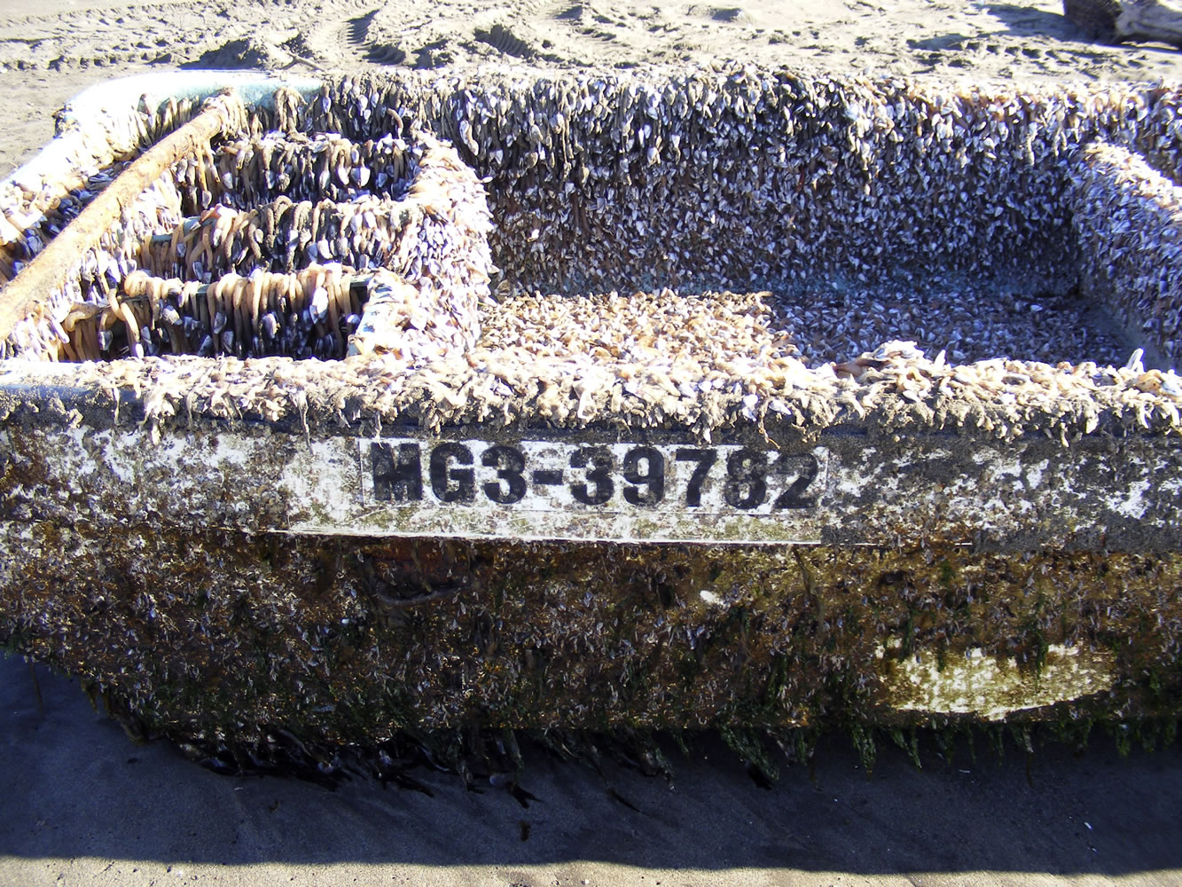 A seaweed-covered skiff that washed ashore at Twin Harbors State Park in Wesport.