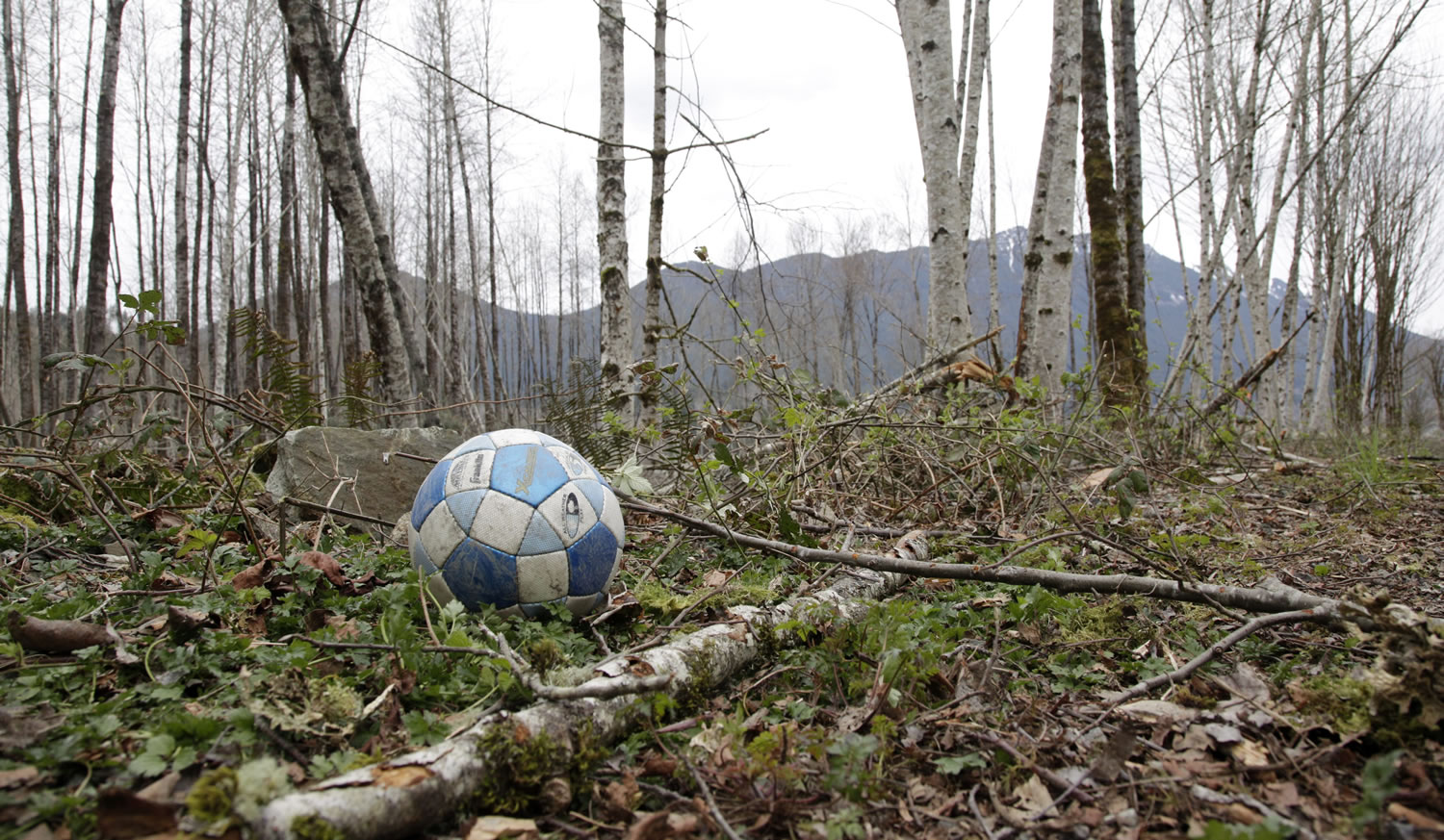 A soccer ball sits adjacent to the Whitehorse Trail near where it landed after a deadly mudslide nearly two weeks earlier on Thursday in Oso.