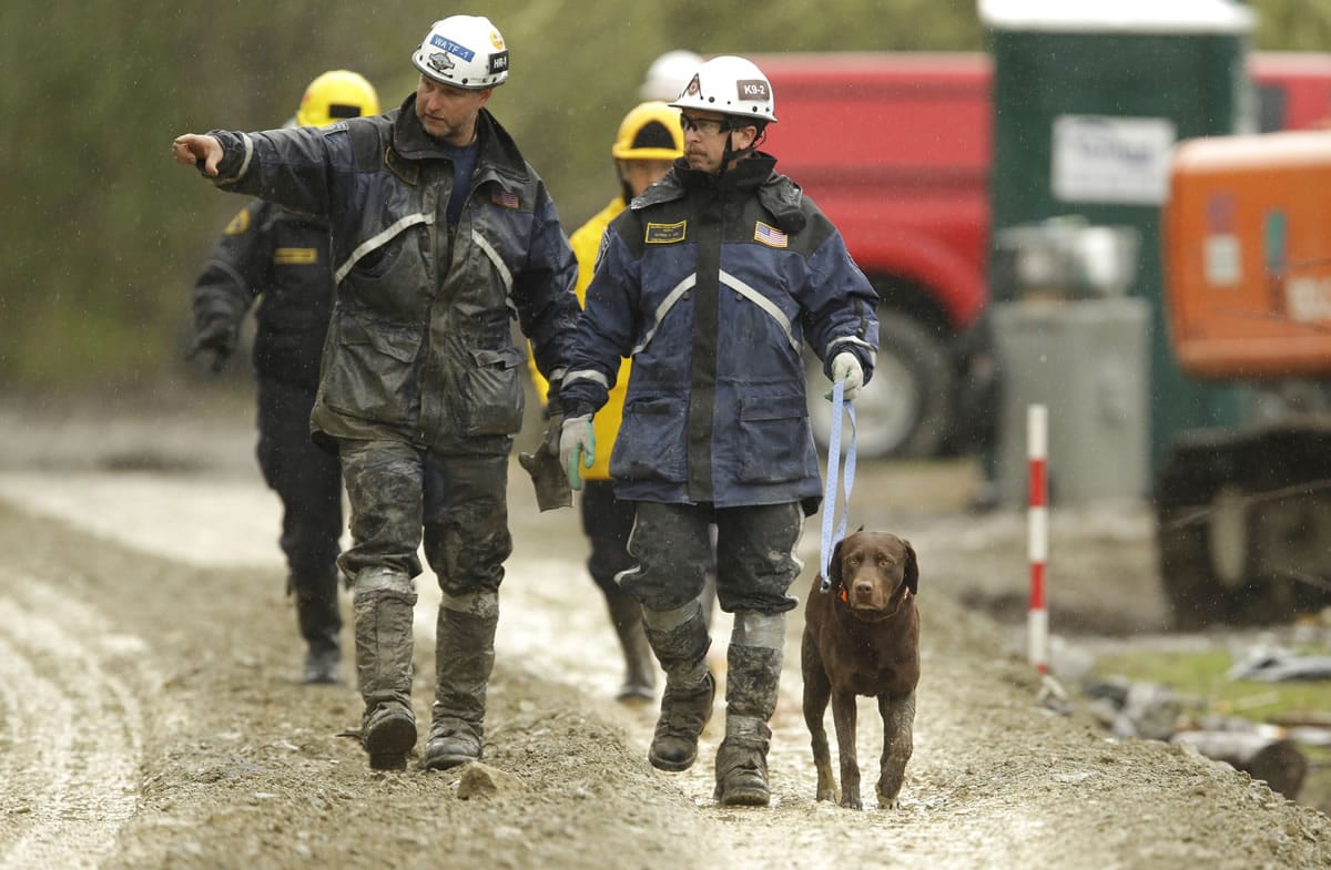 Workers walk with a search dog April 16 at the site of the massive deadly mudslide that hit the community of Oso.