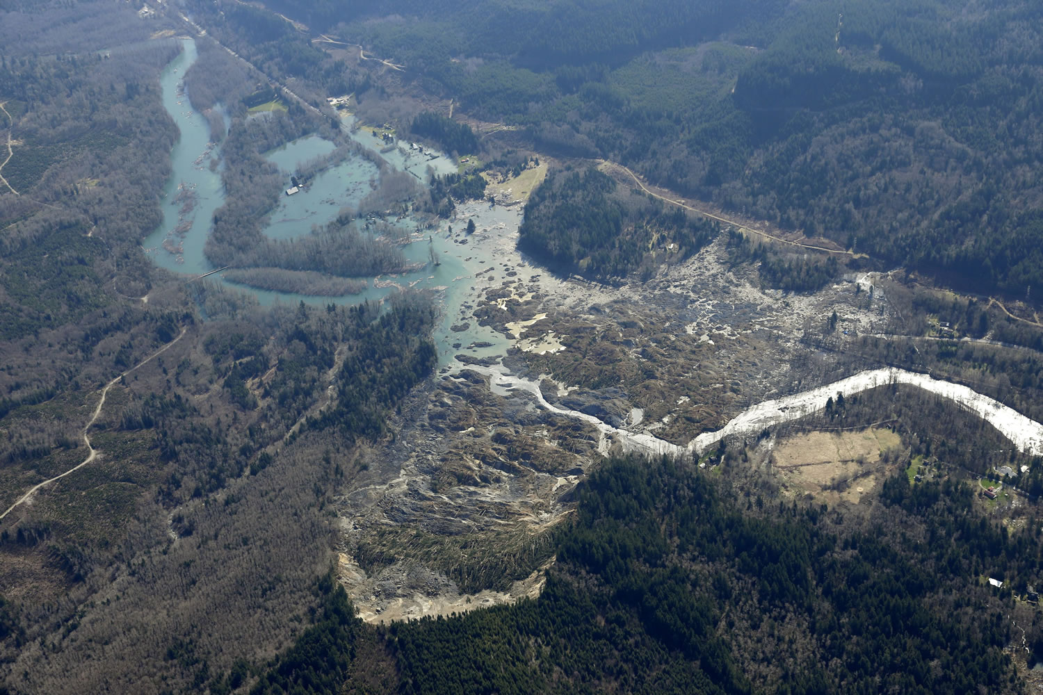 The Stillaguamish River is shown backed up at left in this aerial photo Monday near Arlington after it was blocked on Saturday by the massive mudslide shown at center, that killed at least eight people and left dozens missing, The search for survivors grew Monday raising fears that the death toll could climb far beyond the eight confirmed fatalities.